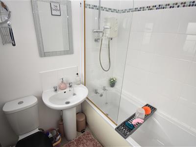 Picture 24